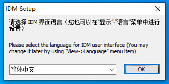 Internet Download Manager 6 简体中文Windows版终身使用授权